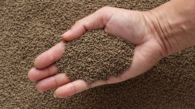 Pelleted protein powders be used as pet food 640x360