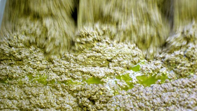 Preparation of olive paste