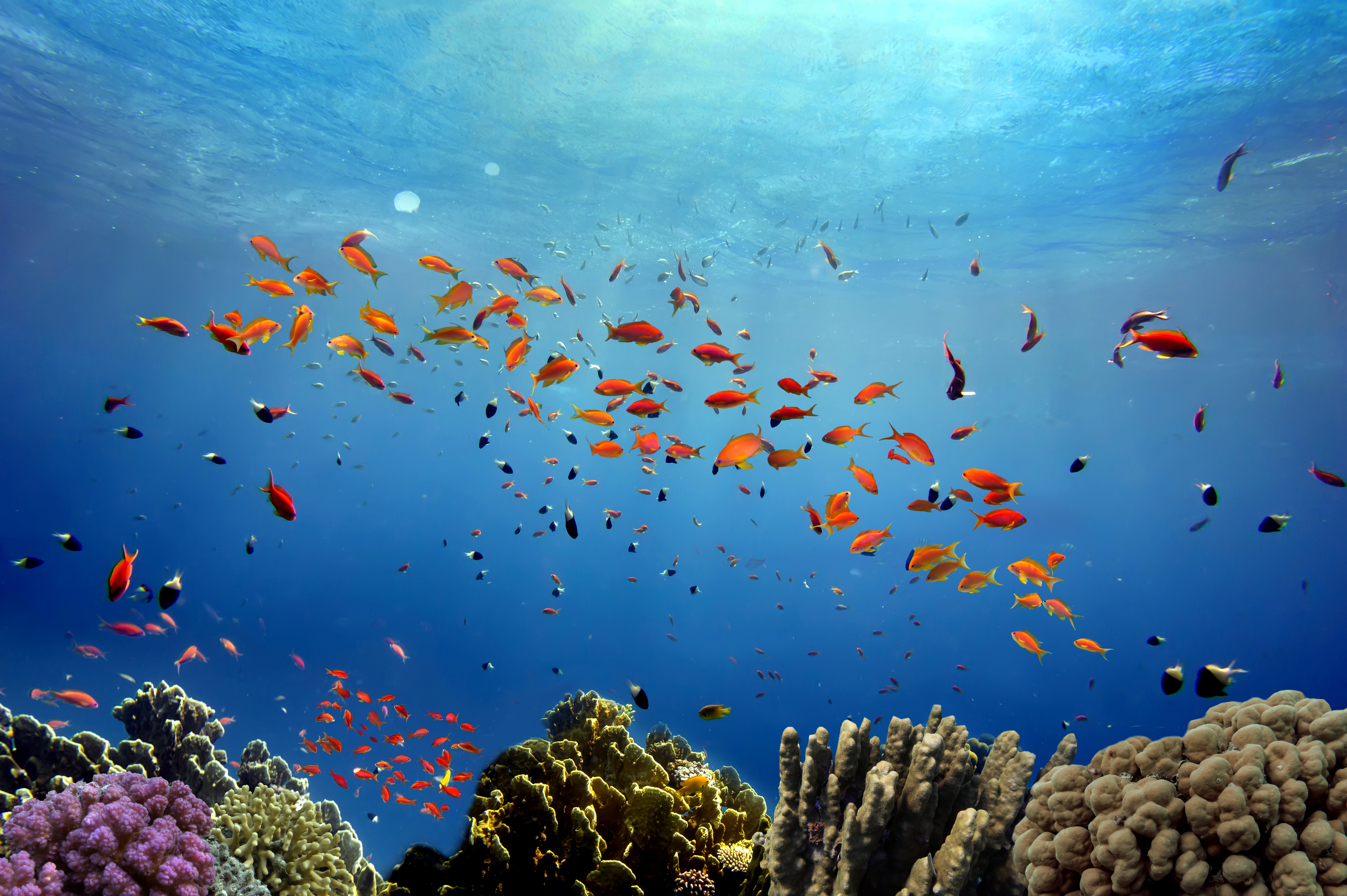 sustainable solutions for marine water