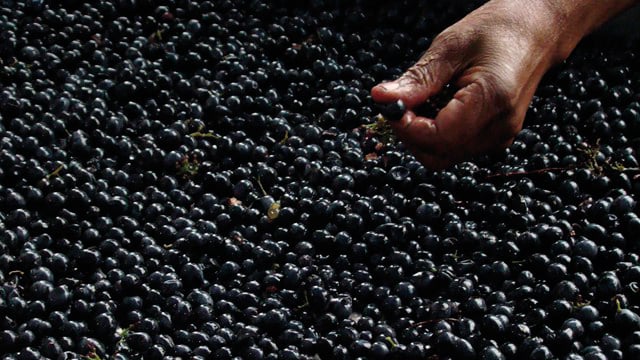 southafrica winery 640x360