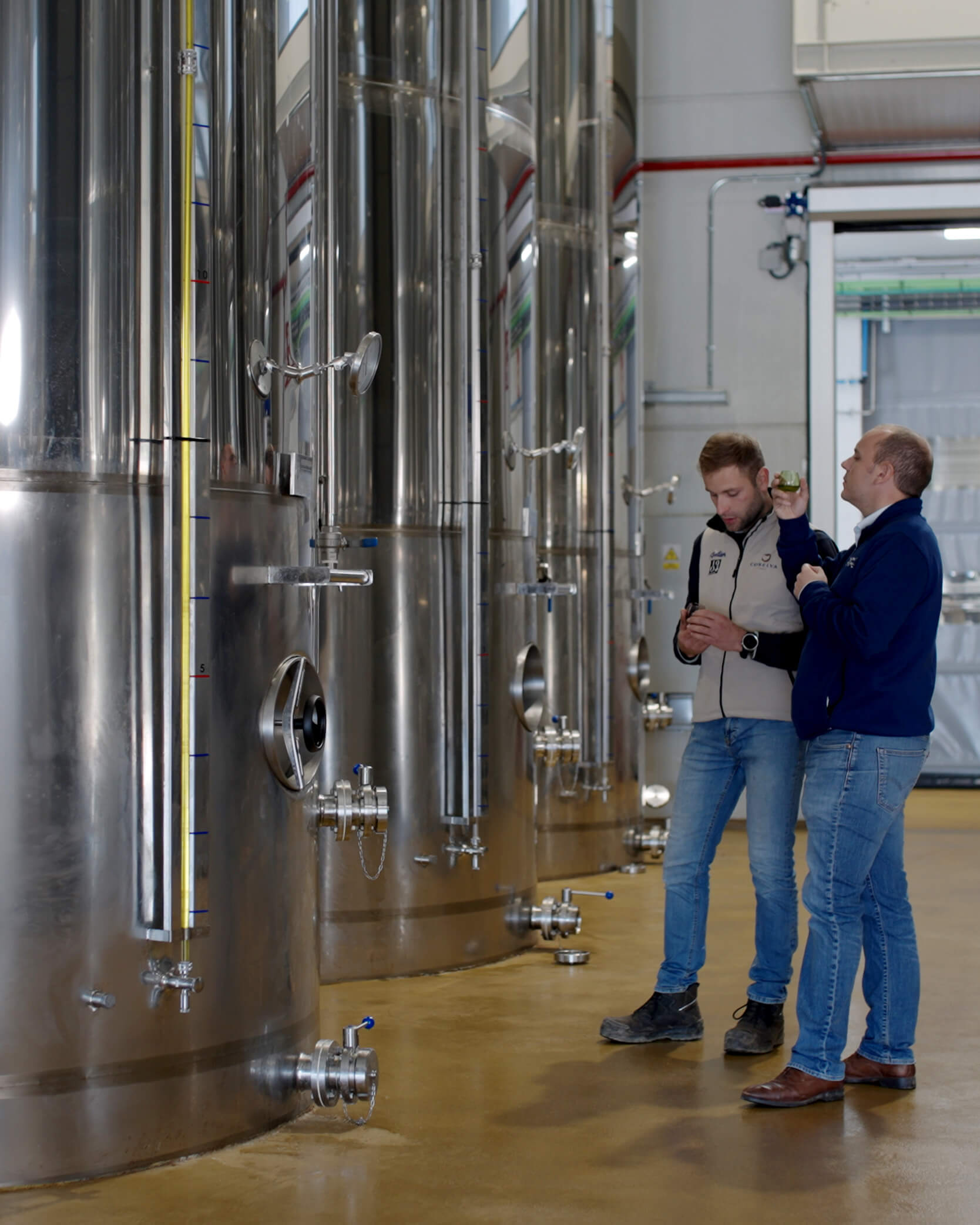 Olijfolie­scheiding