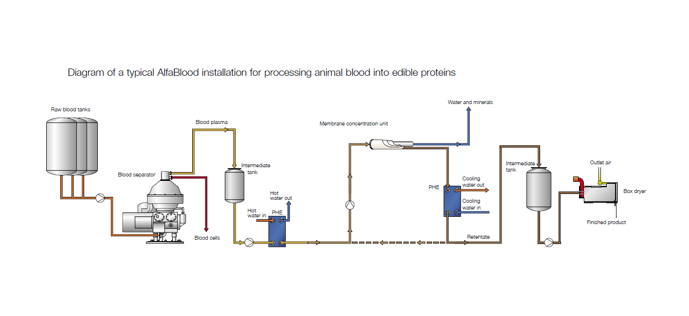 Process sheet AlfaBlood installation